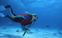 Scuba diving image