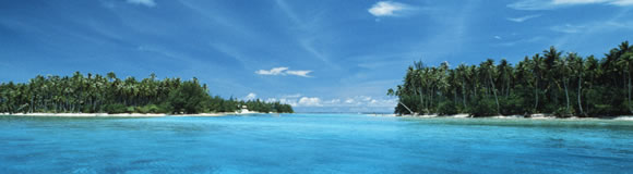 exotic island image