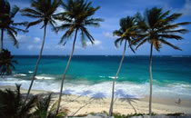 Caribbean beach image
